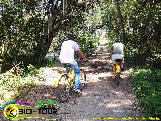 Camino con Lianas Vereda Alto Rubiano